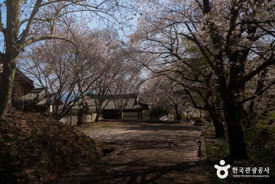 덕천서원(거창) 여행 추천 - 메고지고 덕천서원(거창) 여행 추천 - 메고지고