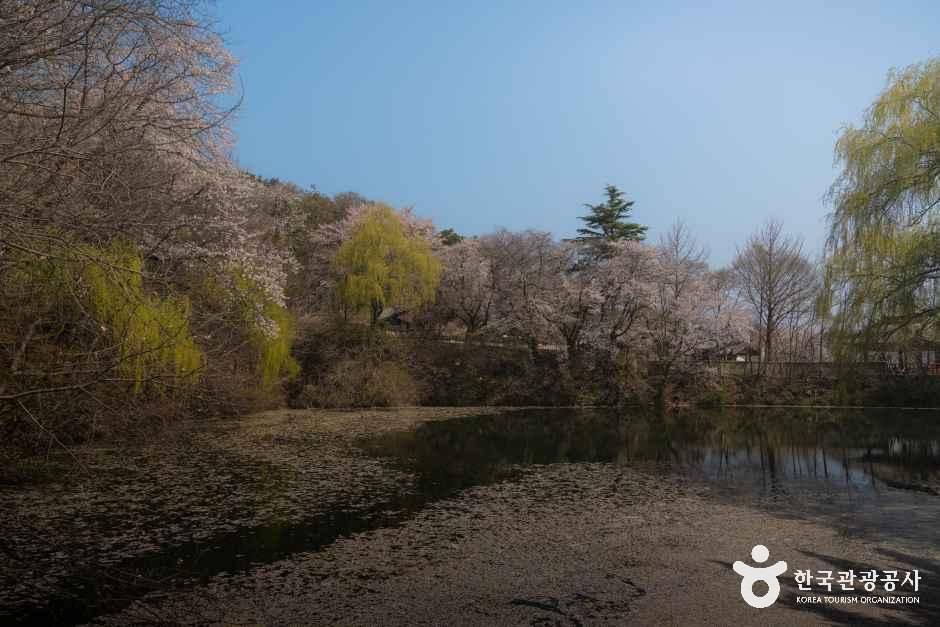 덕천서원(거창) 여행 추천 - 메고지고 덕천서원(거창) 여행 추천 - 메고지고