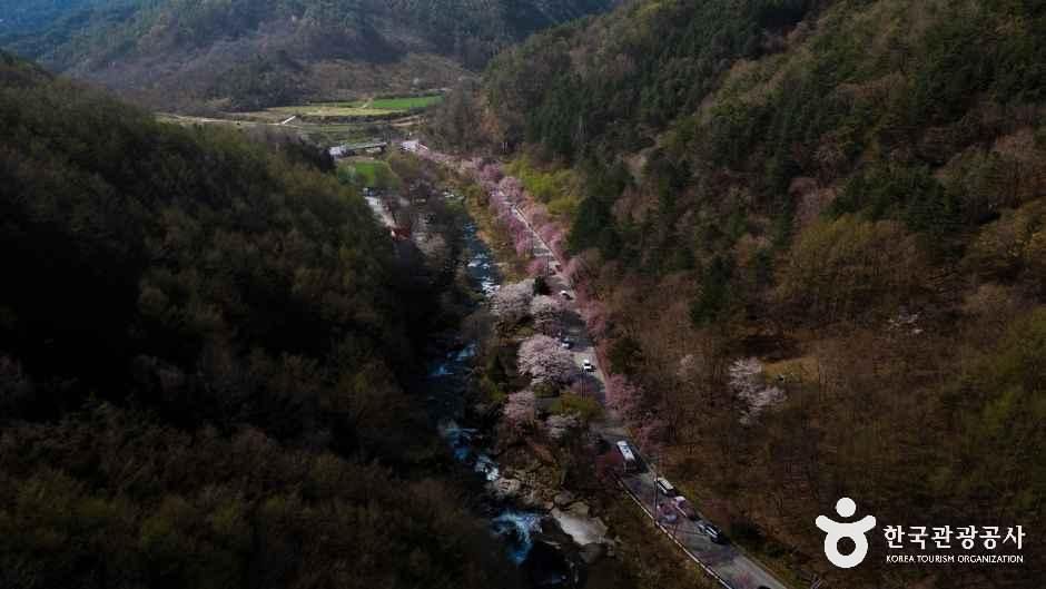 병곡마을 여행 추천 - 메고지고