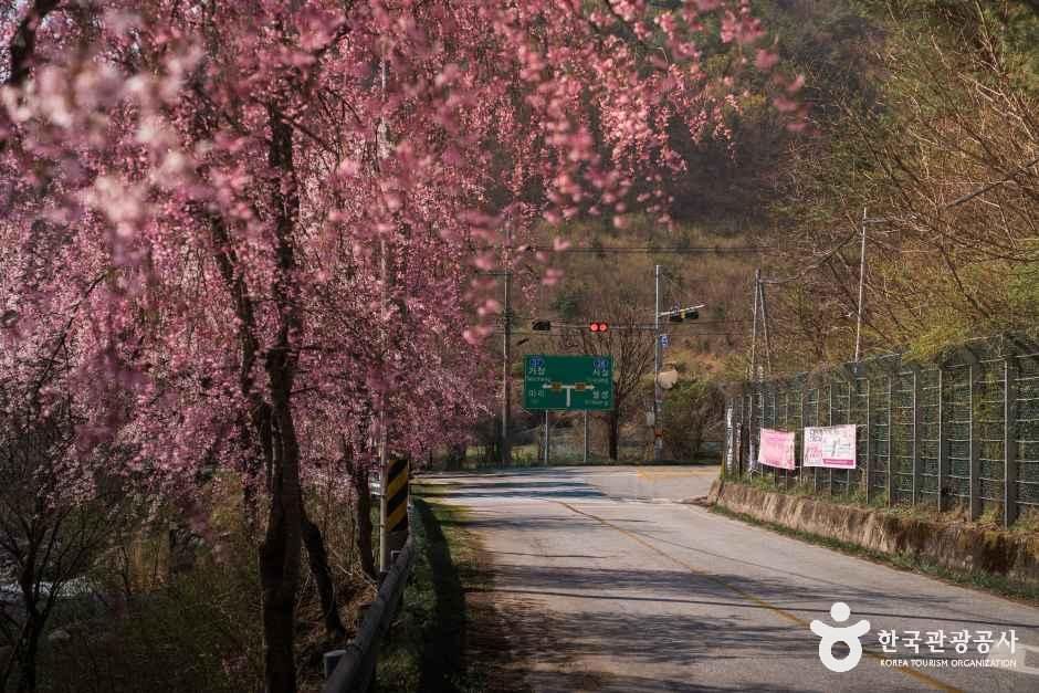 병곡마을 여행 추천 - 메고지고