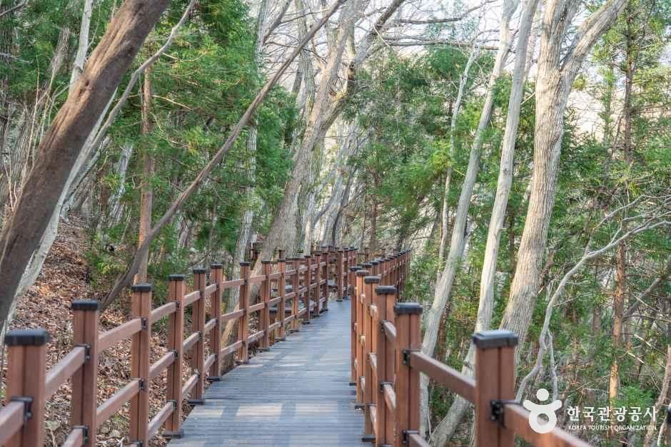 거제치유의숲 여행 추천 - 메고지고 거제치유의숲 여행 추천 - 메고지고
