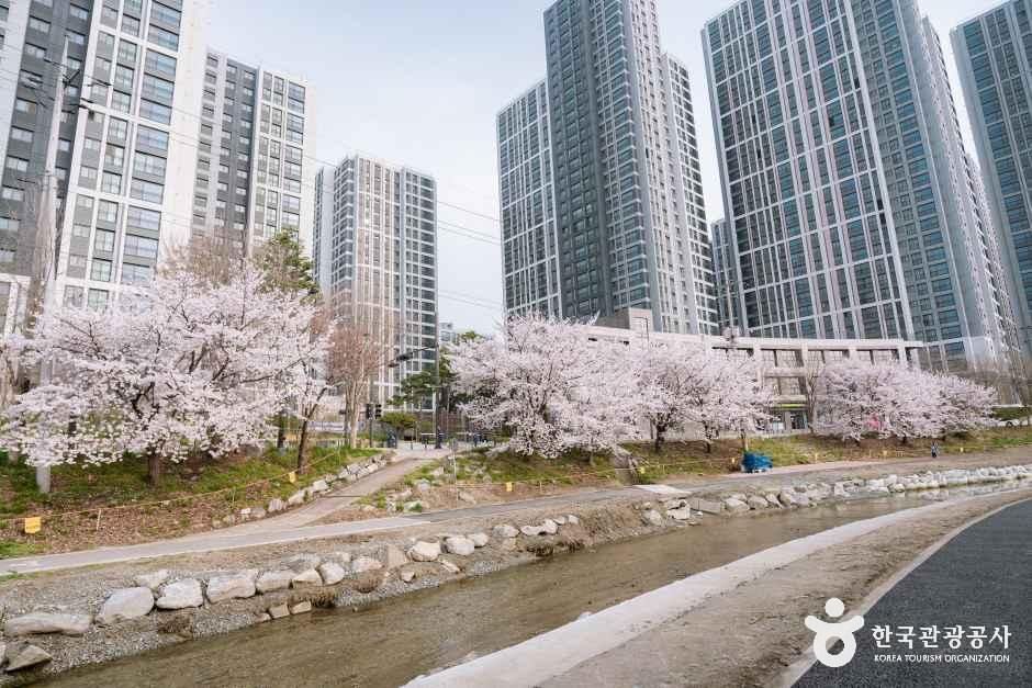 원성천 여행 추천 - 메고지고 원성천 여행 추천 - 메고지고