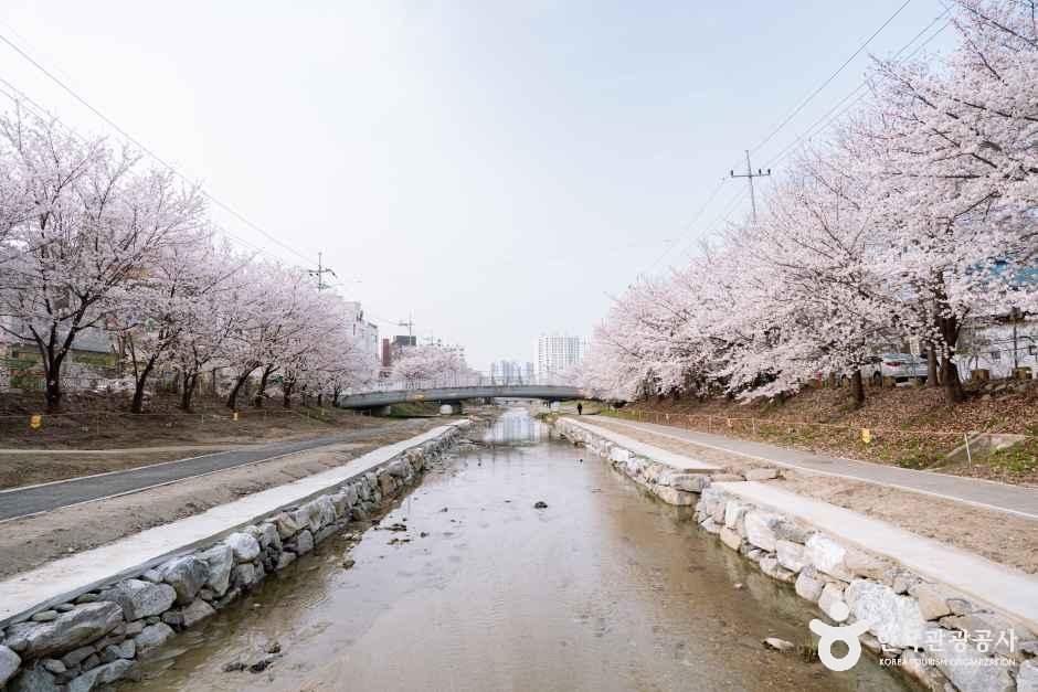 원성천 여행 추천 - 메고지고 원성천 여행 추천 - 메고지고