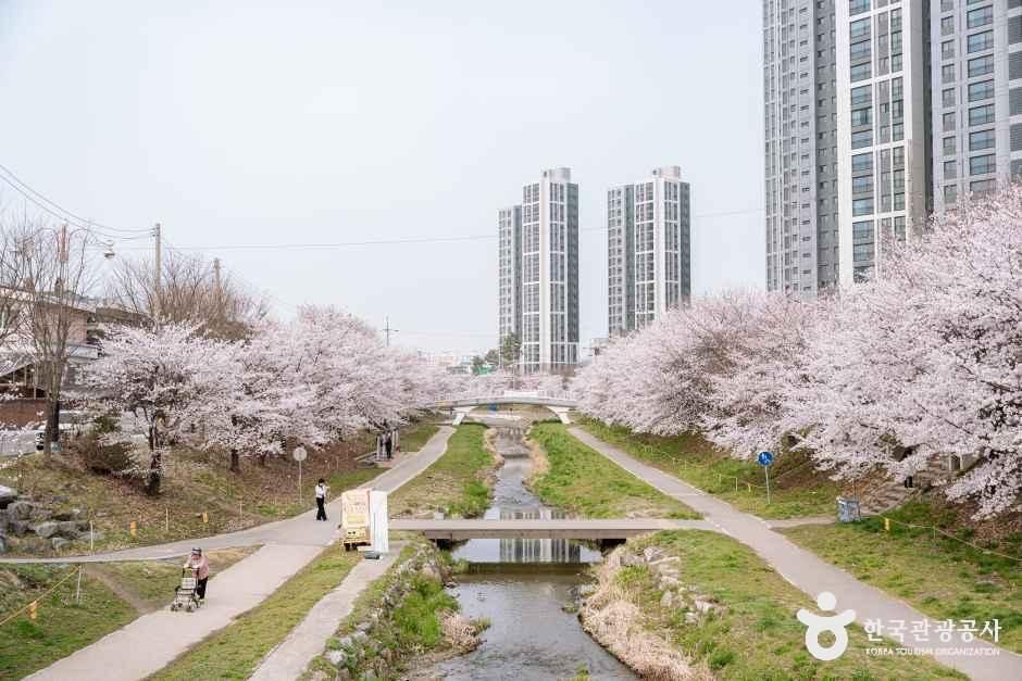 원성천 여행 추천 - 메고지고 원성천 여행 추천 - 메고지고