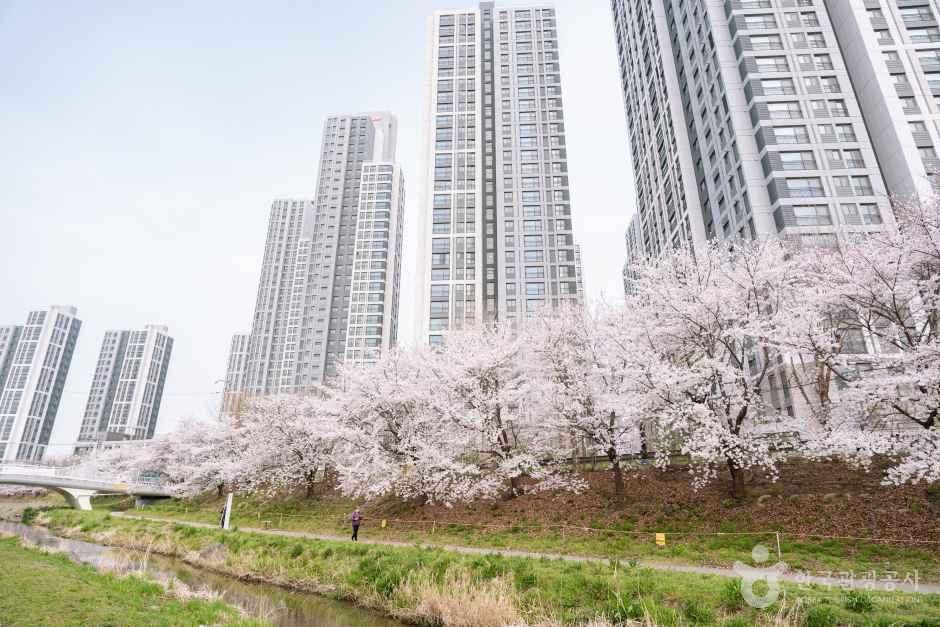 원성천 여행 추천 - 메고지고 원성천 여행 추천 - 메고지고