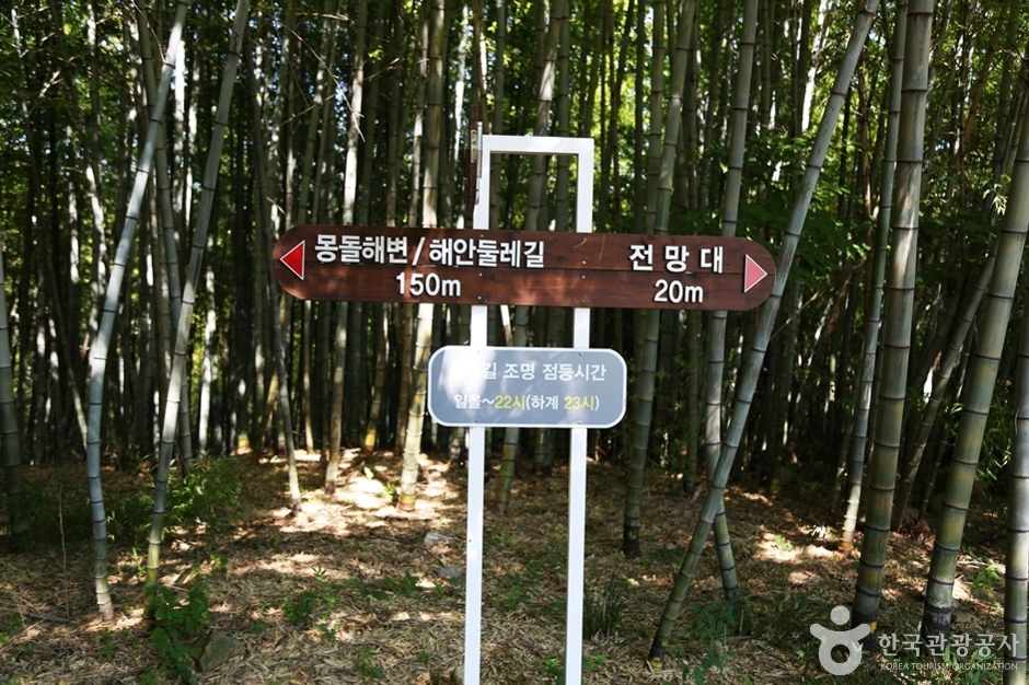 상상산책길 여행 추천 - 메고지고 상상산책길 여행 추천 - 메고지고