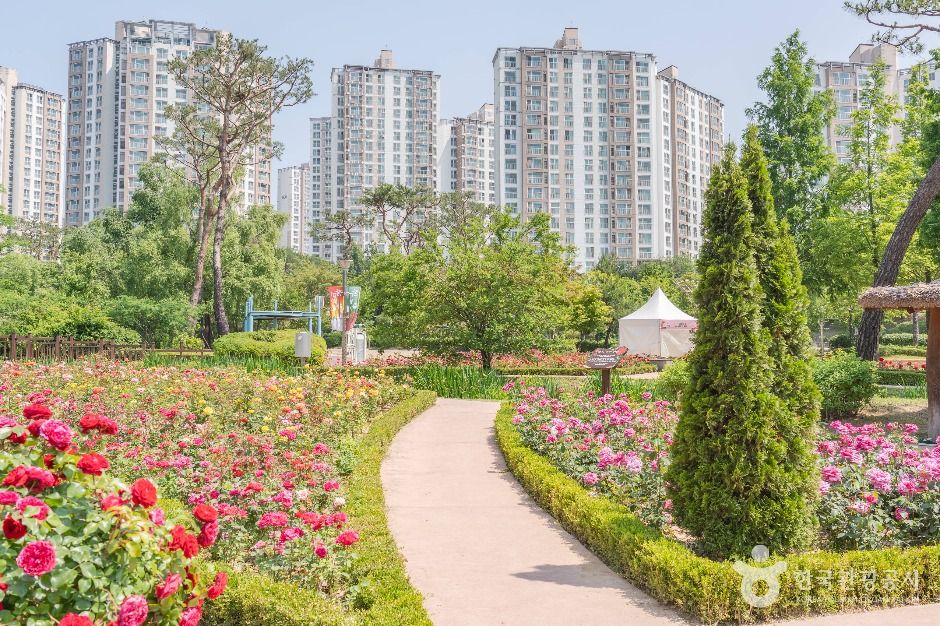 오산 고인돌공원 여행 추천 - 메고지고 오산 고인돌공원 여행 추천 - 메고지고