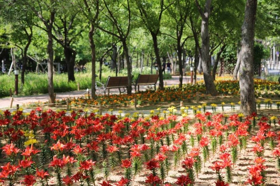 서구 그린웨이 여행 추천 - 메고지고 서구 그린웨이 여행 추천 - 메고지고