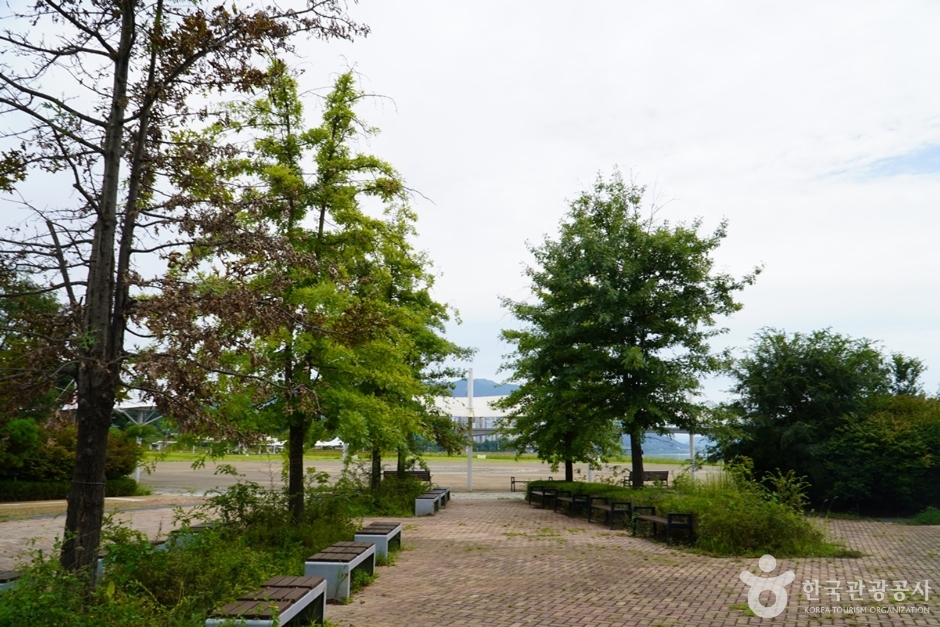 한강시민공원삼패지구물놀이장 여행 추천 - 메고지고