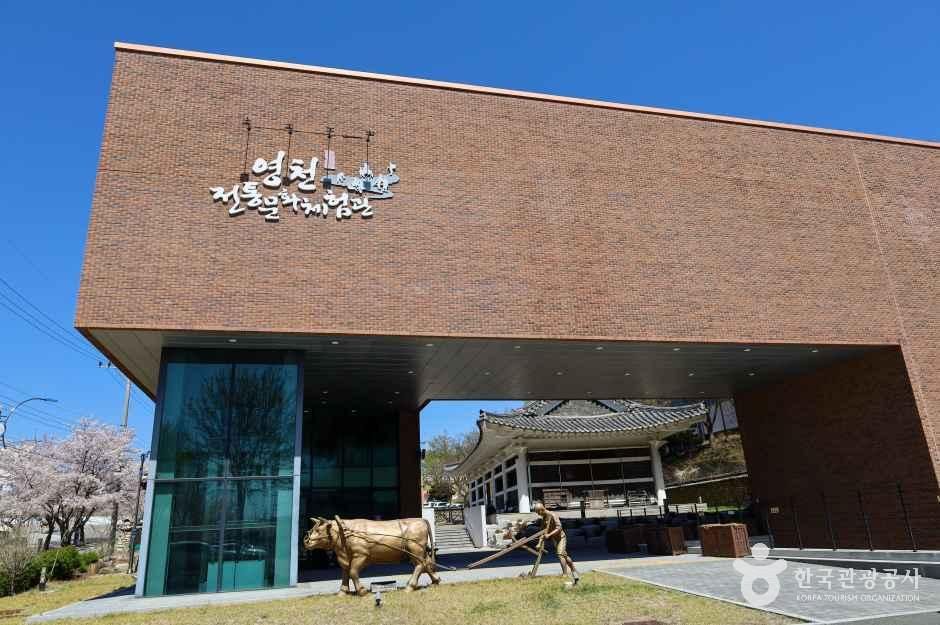 영천전통문화체험관 여행 추천 - 메고지고 영천전통문화체험관 여행 추천 - 메고지고