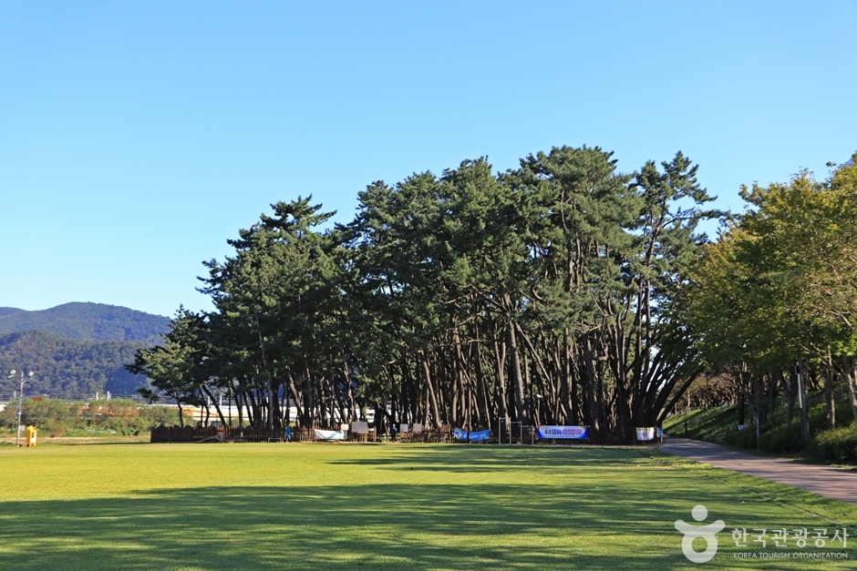삼문수변공원 여행 추천 - 메고지고 삼문수변공원 여행 추천 - 메고지고