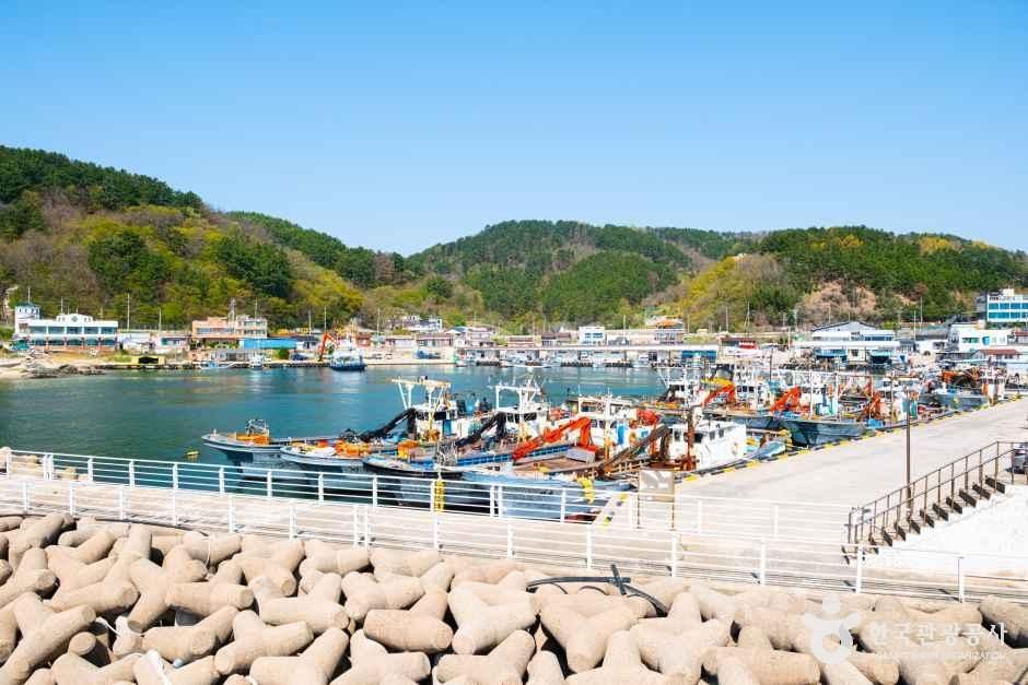 구계항 여행 추천 - 메고지고 구계항 여행 추천 - 메고지고