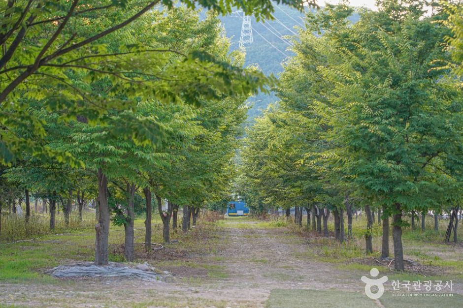 단장숲유원지 여행 추천 - 메고지고 단장숲유원지 여행 추천 - 메고지고