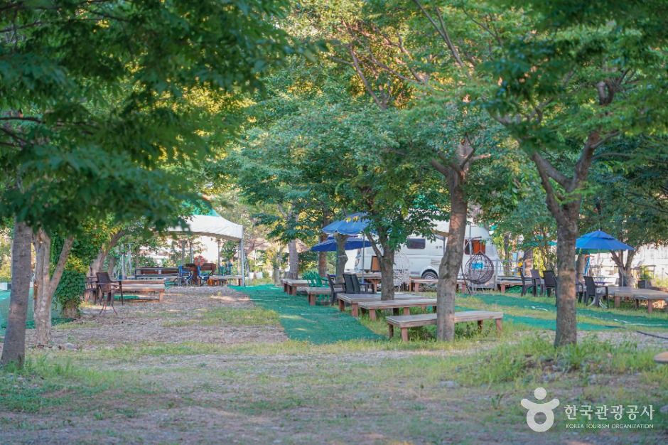 단장숲유원지 여행 추천 - 메고지고 단장숲유원지 여행 추천 - 메고지고