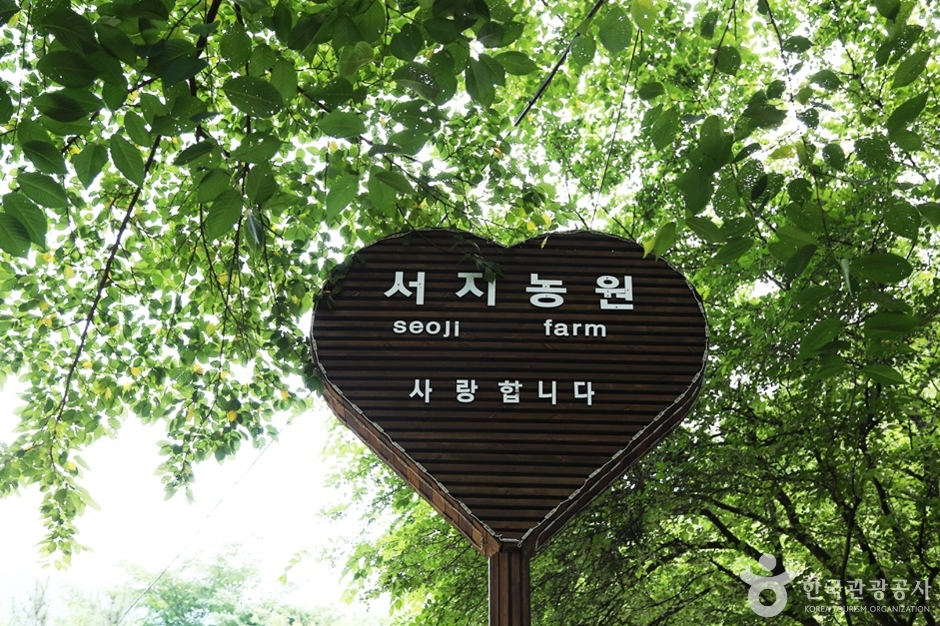 서지관광농원 여행 추천 - 메고지고 서지관광농원 여행 추천 - 메고지고