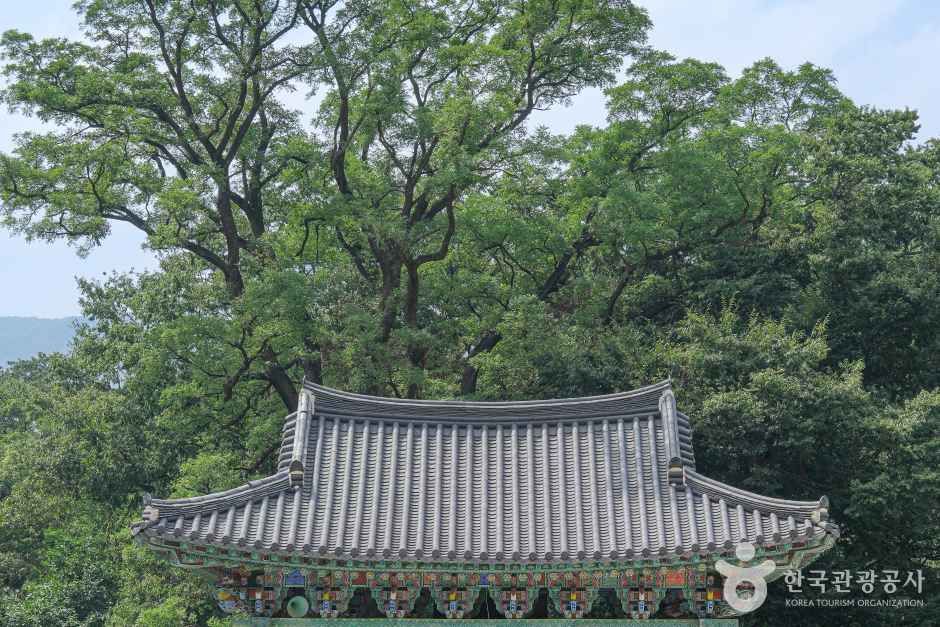 표충사(밀양) 여행 추천 - 메고지고 표충사(밀양) 여행 추천 - 메고지고