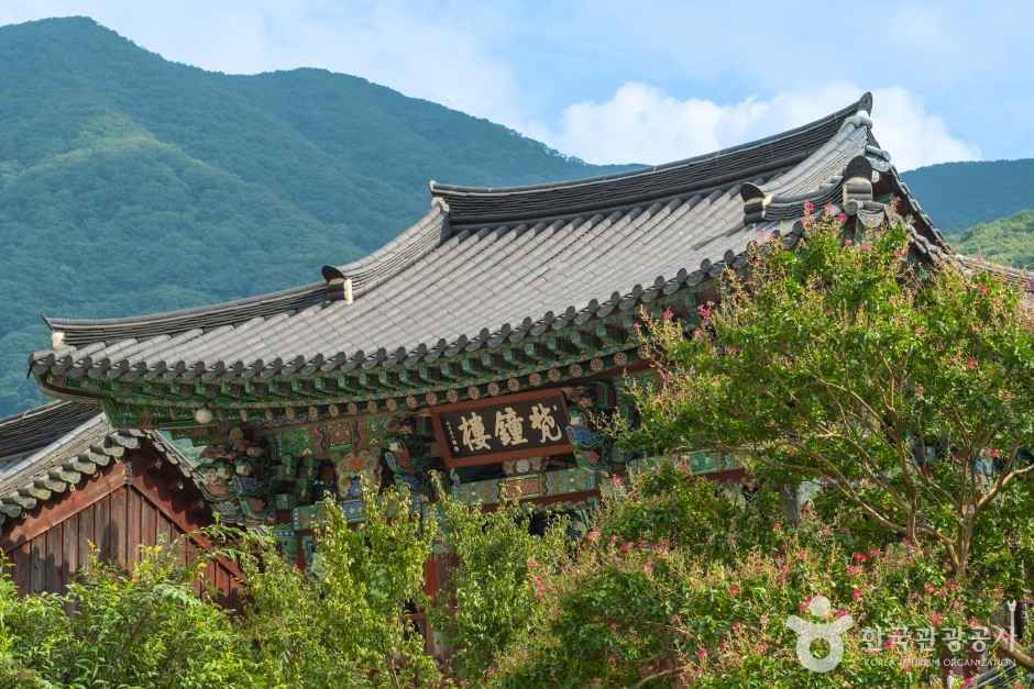 표충사(밀양) 여행 추천 - 메고지고 표충사(밀양) 여행 추천 - 메고지고