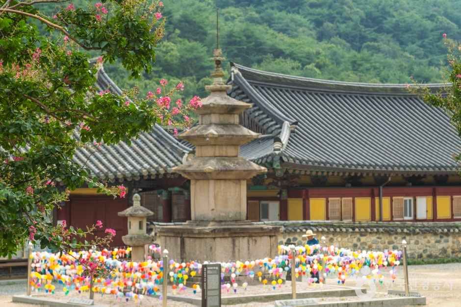 표충사(밀양) 여행 추천 - 메고지고 표충사(밀양) 여행 추천 - 메고지고
