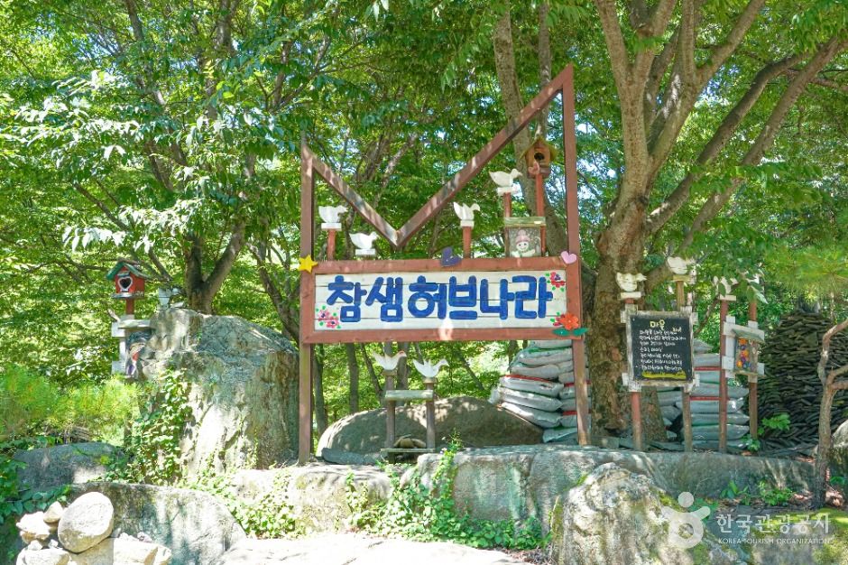 참샘허브나라 여행 추천 - 메고지고 참샘허브나라 여행 추천 - 메고지고