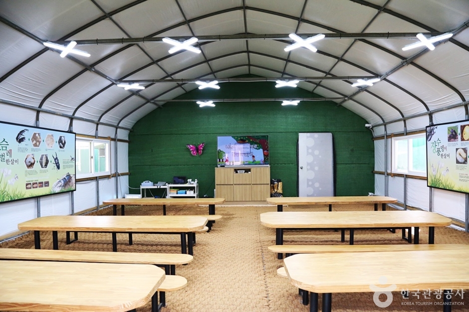 부산자연곤충마을 여행 추천 - 메고지고 부산자연곤충마을 여행 추천 - 메고지고