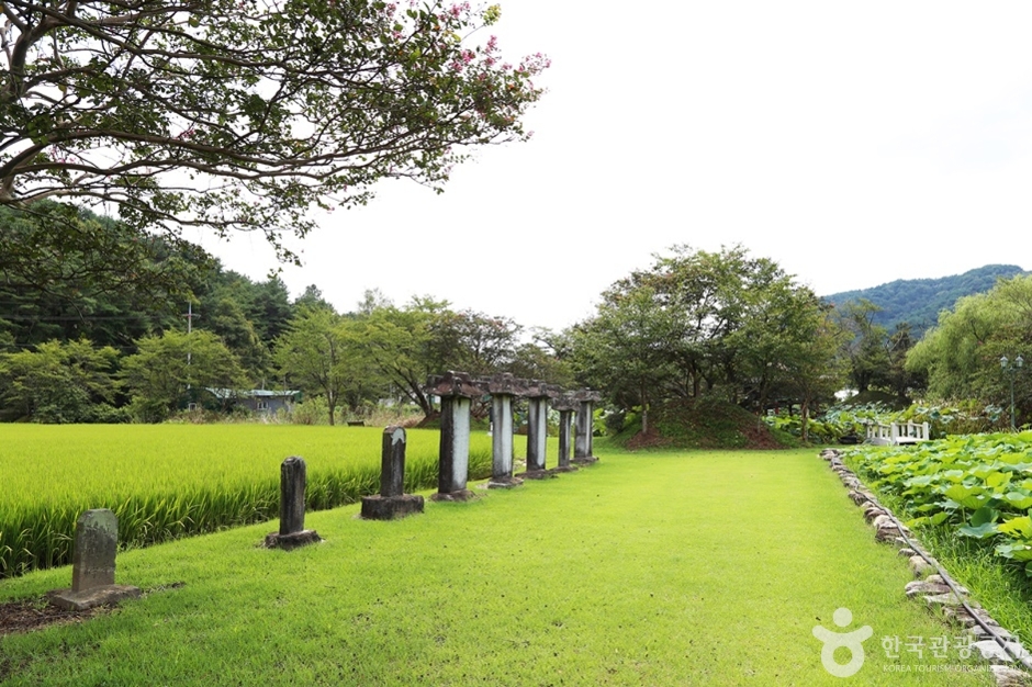 용호정원 여행 추천 - 메고지고 용호정원 여행 추천 - 메고지고
