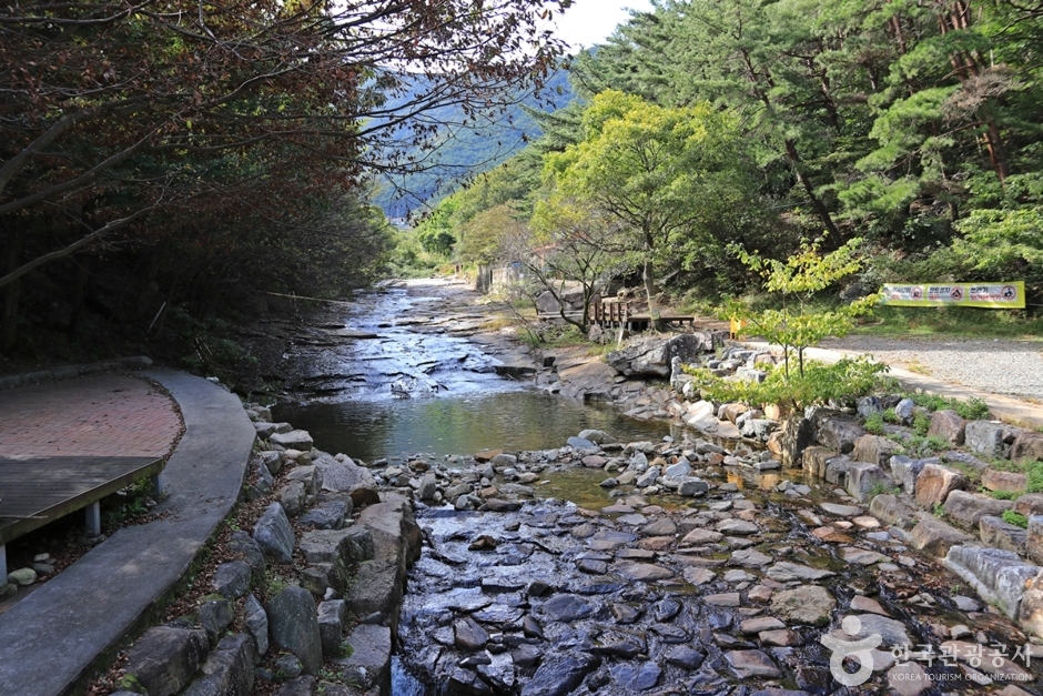 별천계곡 여행 추천 - 메고지고 별천계곡 여행 추천 - 메고지고