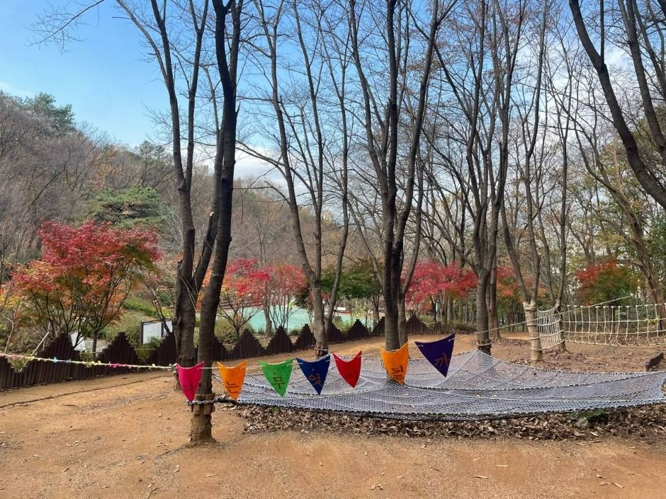 청사초롱 유아숲체험원 여행 추천 - 메고지고 청사초롱 유아숲체험원 여행 추천 - 메고지고
