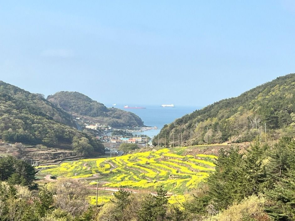 파라다랑스 여행 추천 - 메고지고