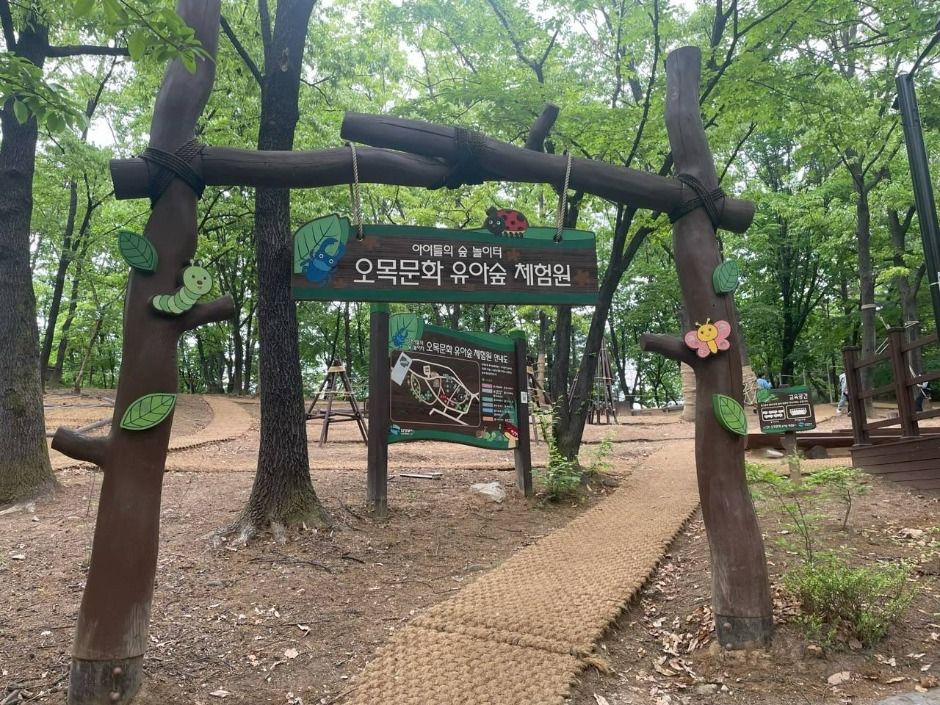 오목문화 유아숲체험원 여행 추천 - 메고지고 오목문화 유아숲체험원 여행 추천 - 메고지고