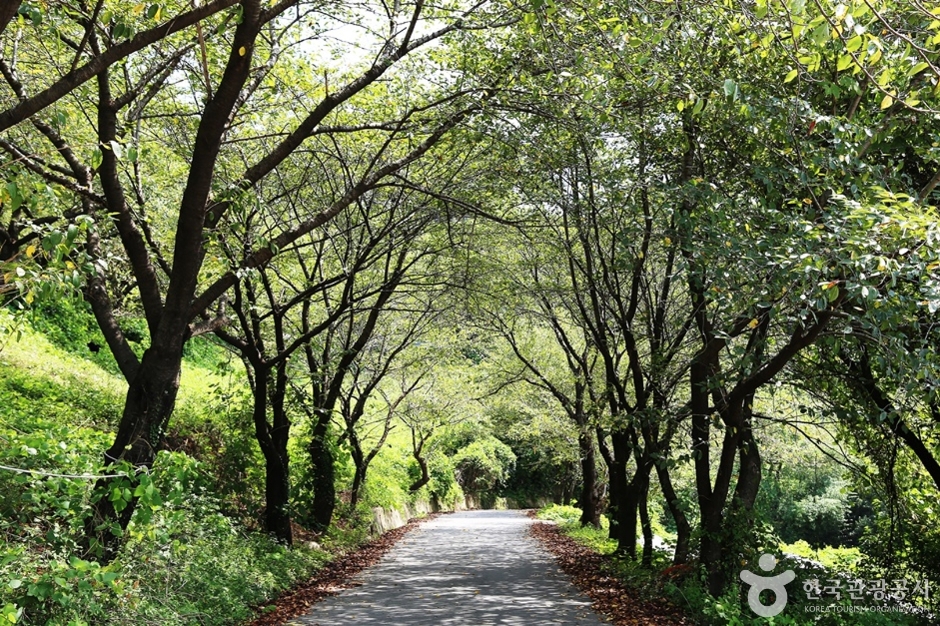 예계마을 여행 추천 - 메고지고 예계마을 여행 추천 - 메고지고