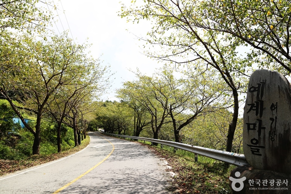 예계마을 여행 추천 - 메고지고 예계마을 여행 추천 - 메고지고