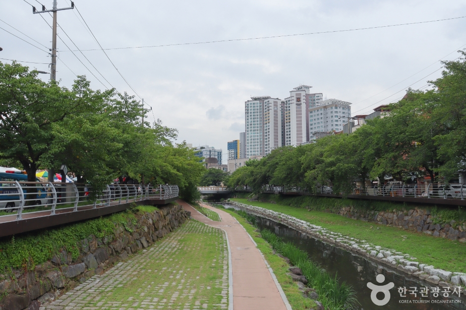 무거천 벚꽃길 여행 추천 - 메고지고 무거천 벚꽃길 여행 추천 - 메고지고