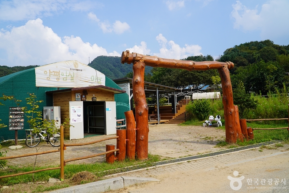 양평임실치즈마을 여행 추천 - 메고지고 양평임실치즈마을 여행 추천 - 메고지고