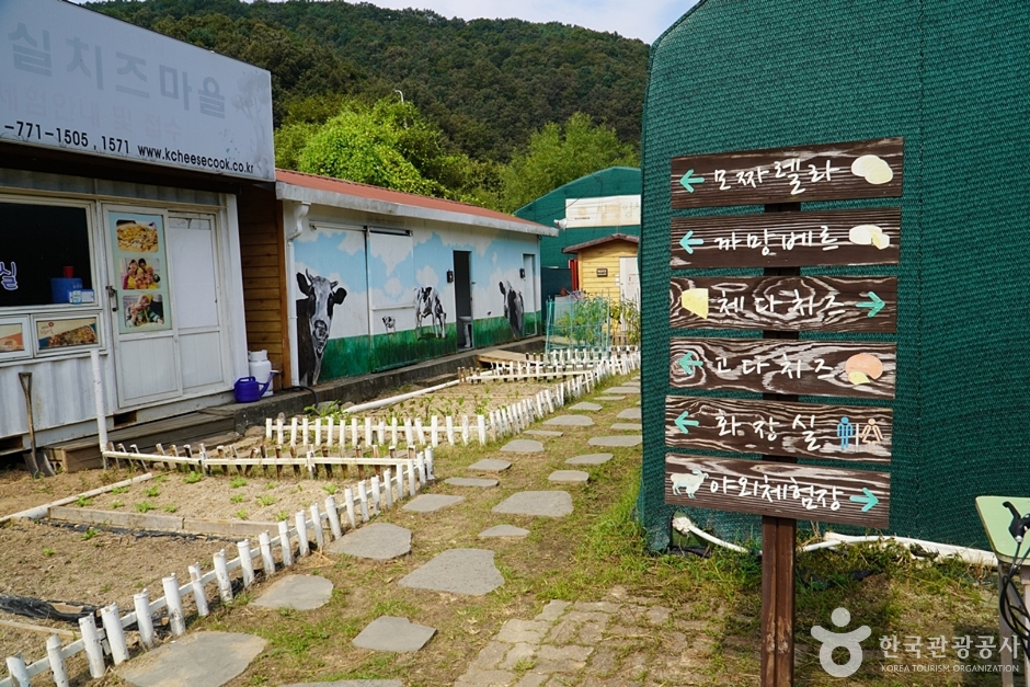 양평임실치즈마을 여행 추천 - 메고지고 양평임실치즈마을 여행 추천 - 메고지고