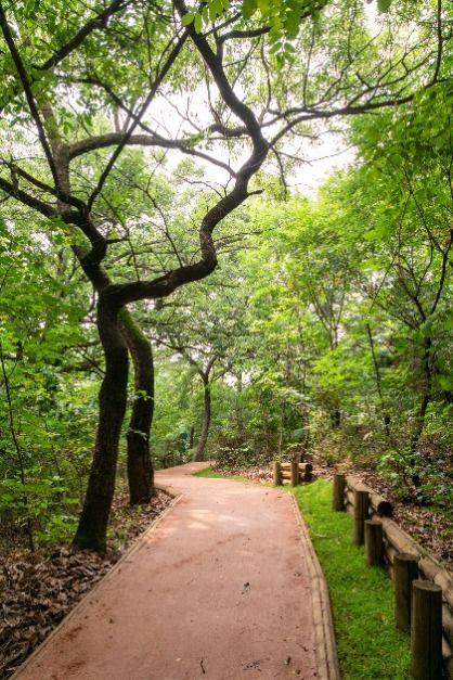 꿩고개공원 여행 추천 - 메고지고 꿩고개공원 여행 추천 - 메고지고