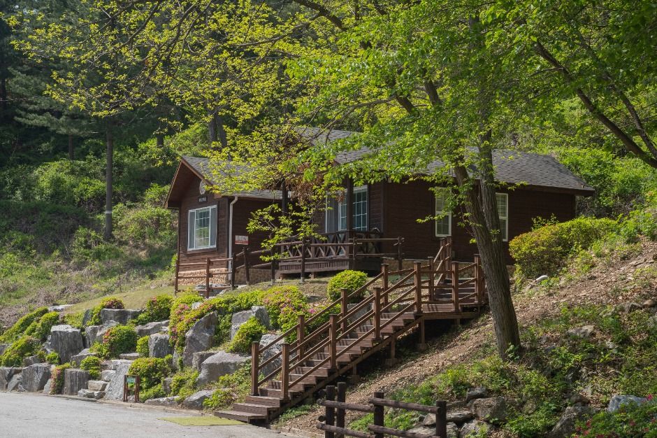 칼봉산자연휴양림 여행 추천 - 메고지고 칼봉산자연휴양림 여행 추천 - 메고지고