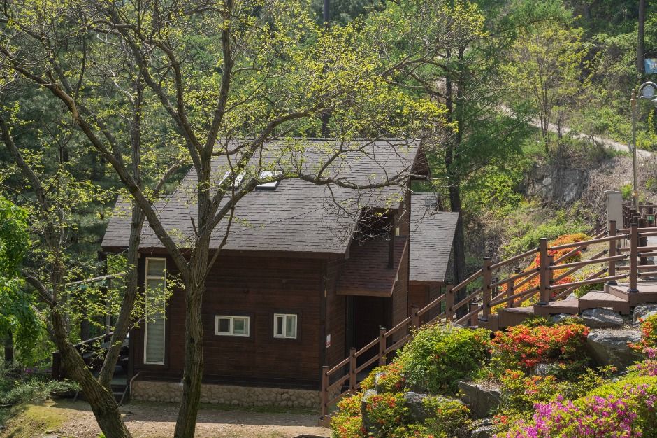 칼봉산자연휴양림 여행 추천 - 메고지고 칼봉산자연휴양림 여행 추천 - 메고지고