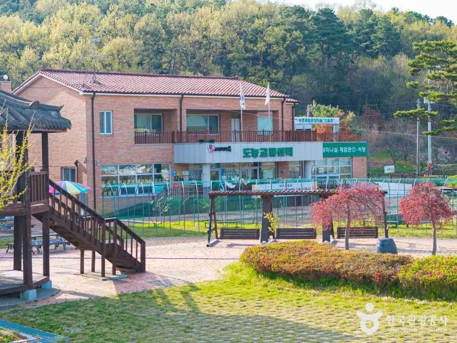 도래미마을 여행 추천 - 메고지고