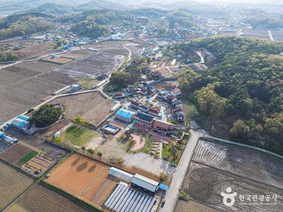 도래미마을 여행 추천 - 메고지고