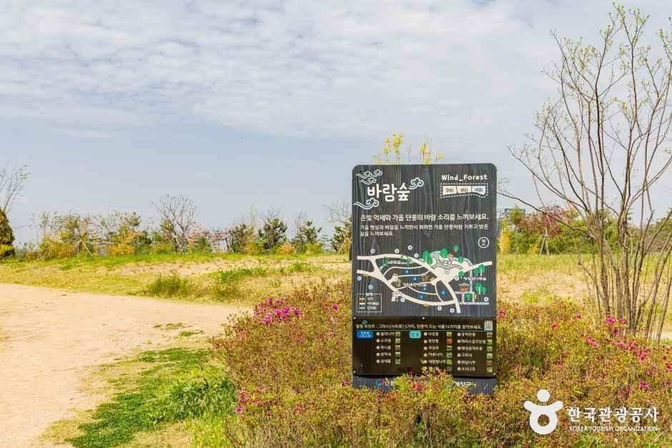 계양꽃마루 여행 추천 - 메고지고 계양꽃마루 여행 추천 - 메고지고