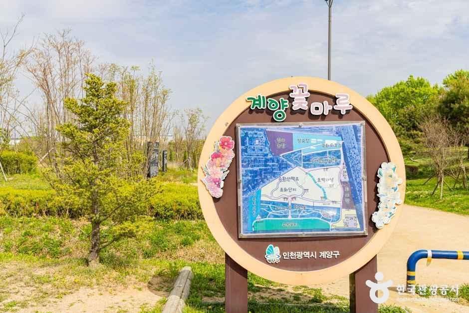 계양꽃마루 여행 추천 - 메고지고 계양꽃마루 여행 추천 - 메고지고