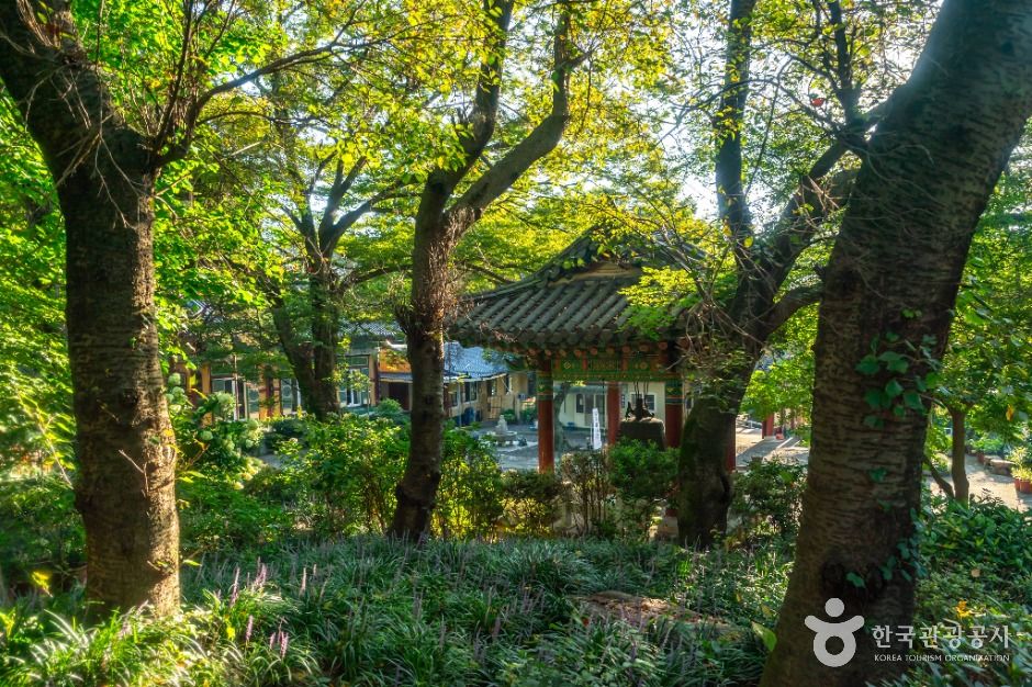 원각사(창원) 여행 추천 - 메고지고
