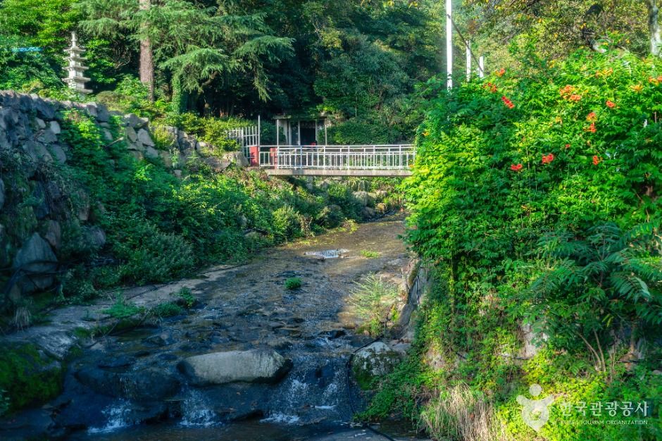 원각사(창원) 여행 추천 - 메고지고