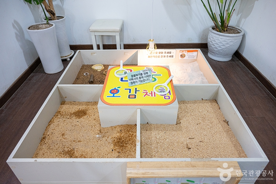 센트럴곤충생태농장 여행 추천 - 메고지고