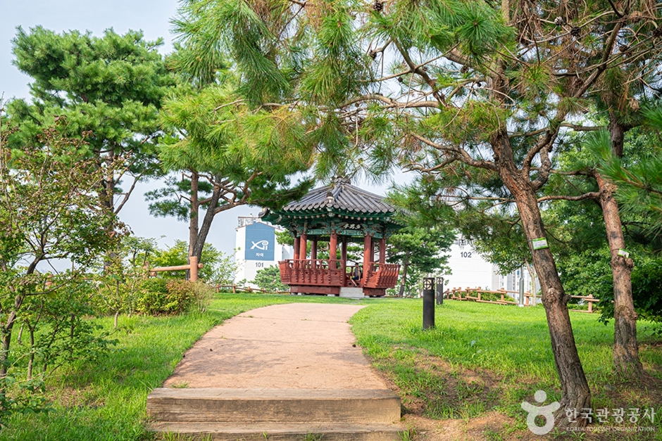 다람산공원 여행 추천 - 메고지고 다람산공원 여행 추천 - 메고지고