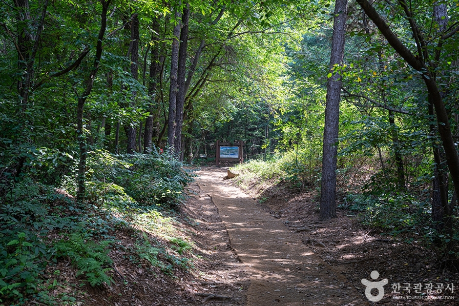 서봉산산림욕장 여행 추천 - 메고지고 서봉산산림욕장 여행 추천 - 메고지고