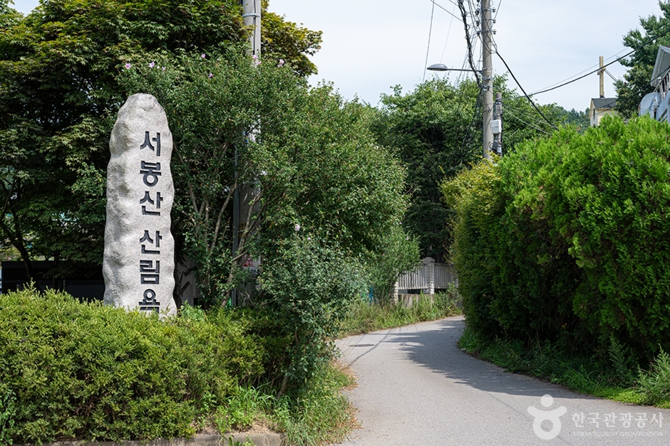 서봉산산림욕장 여행 추천 - 메고지고 서봉산산림욕장 여행 추천 - 메고지고