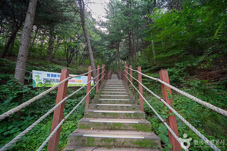 무봉산 여행 추천 - 메고지고 무봉산 여행 추천 - 메고지고