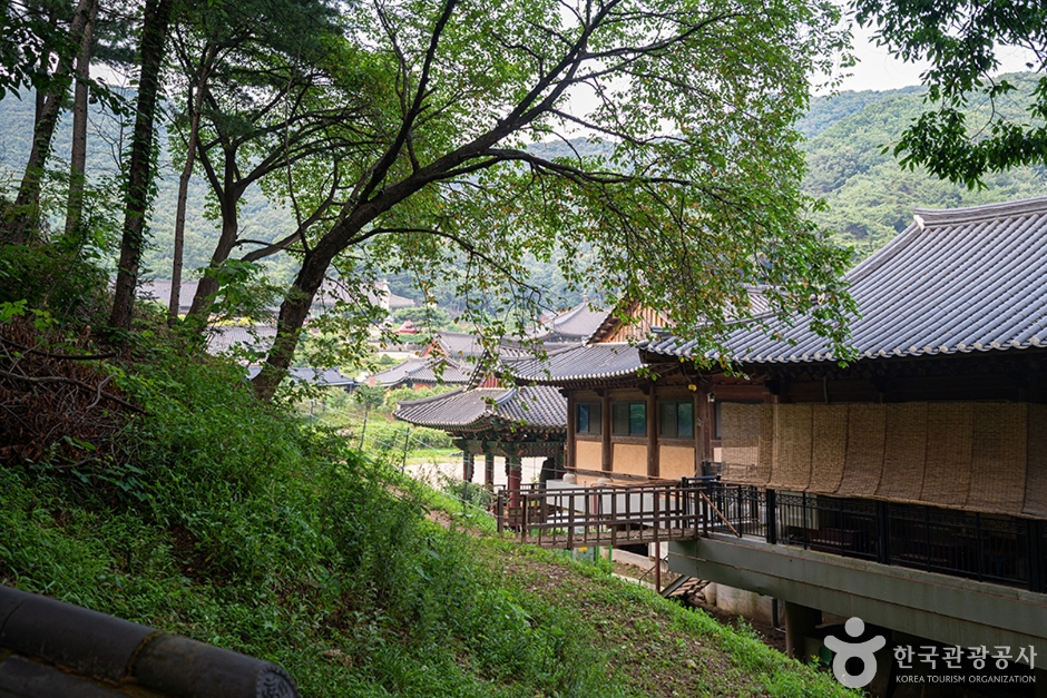 무봉산 여행 추천 - 메고지고 무봉산 여행 추천 - 메고지고