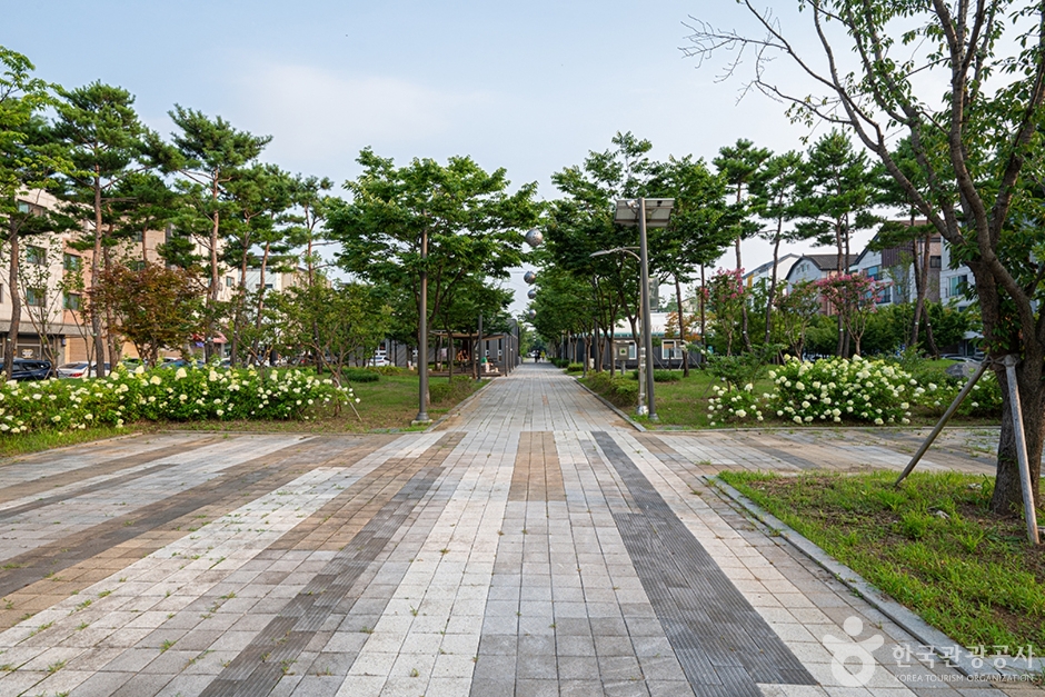 너른공원 여행 추천 - 메고지고 너른공원 여행 추천 - 메고지고